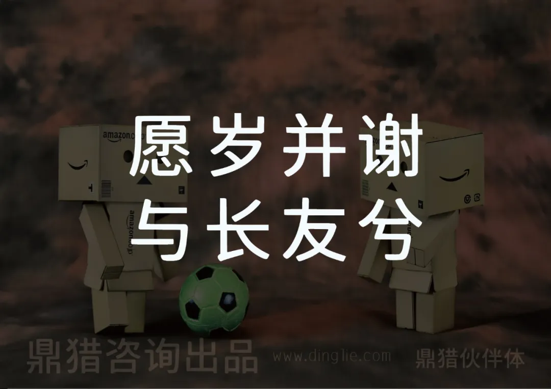 愿岁并谢与长友兮，鼎猎咨询出品，www.dingle.com，鼎猎伙伴体，两个纸箱人与足球。-刊刻Kntuk