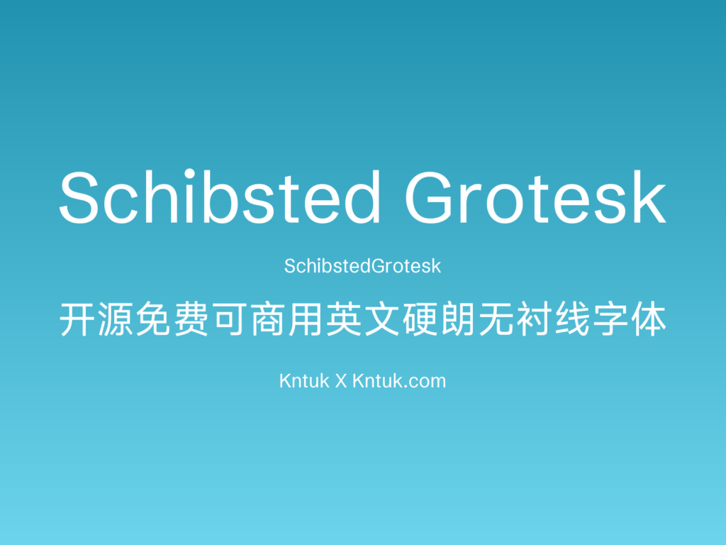 Schibsted Grotesk
