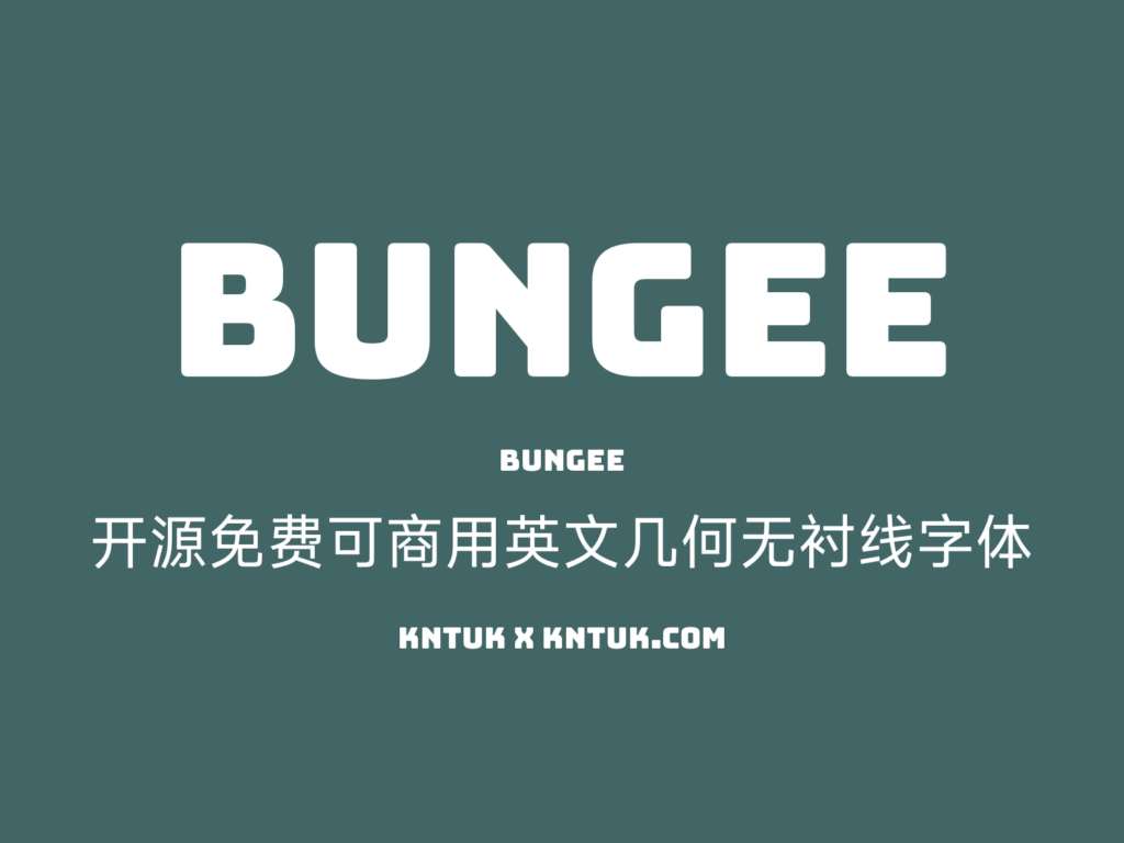 Bungee