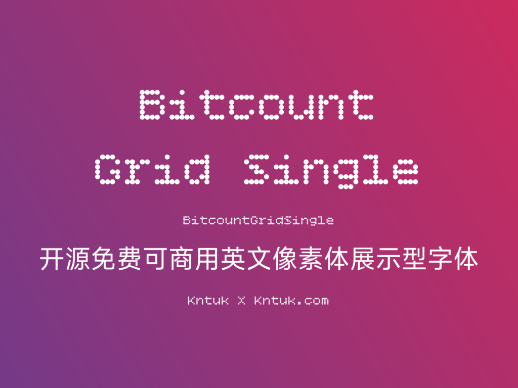 Bitcount Grid Single