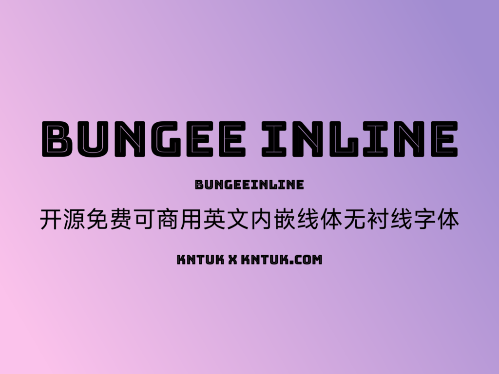 Bungee Inline