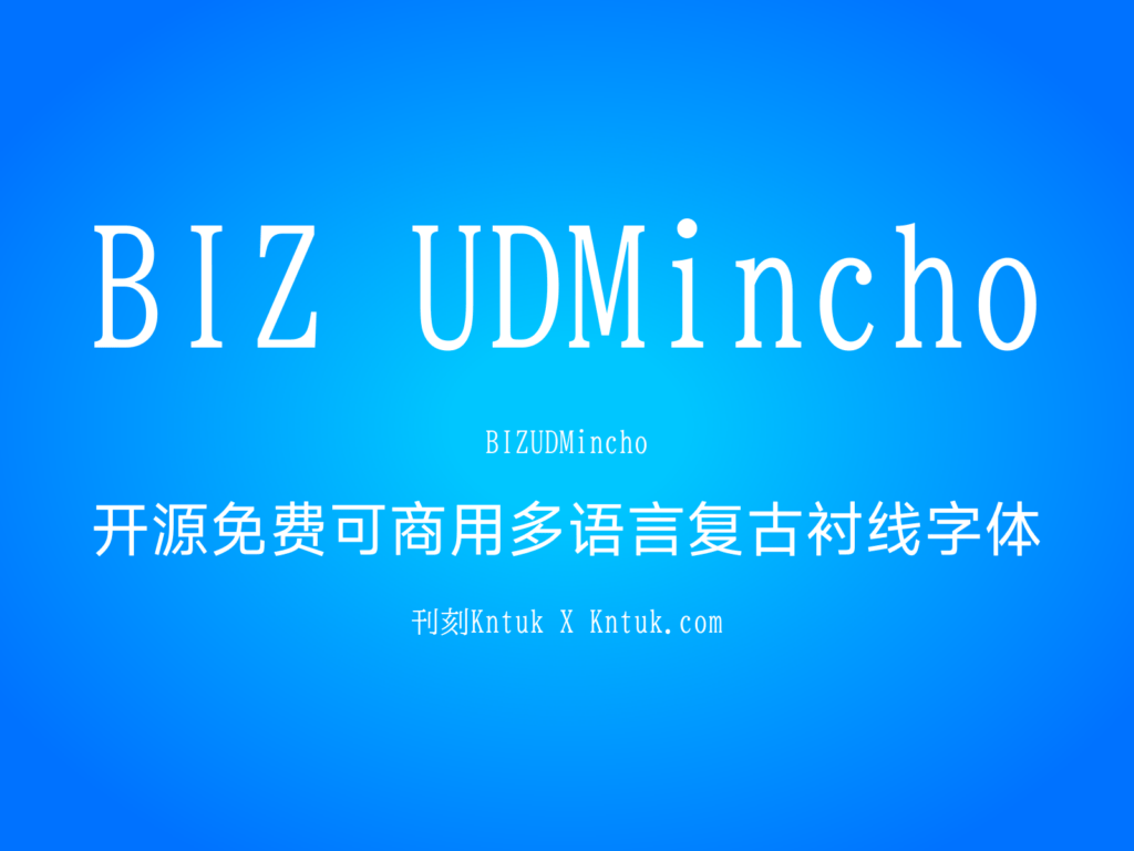 BIZ UDMincho
