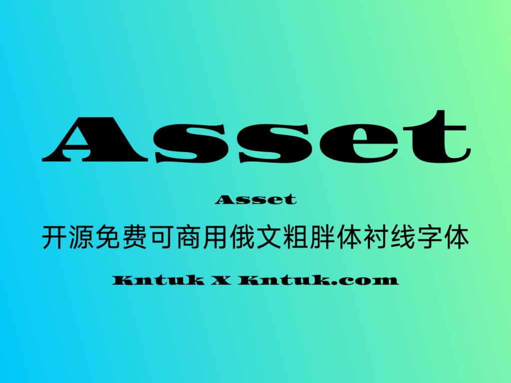 Asset